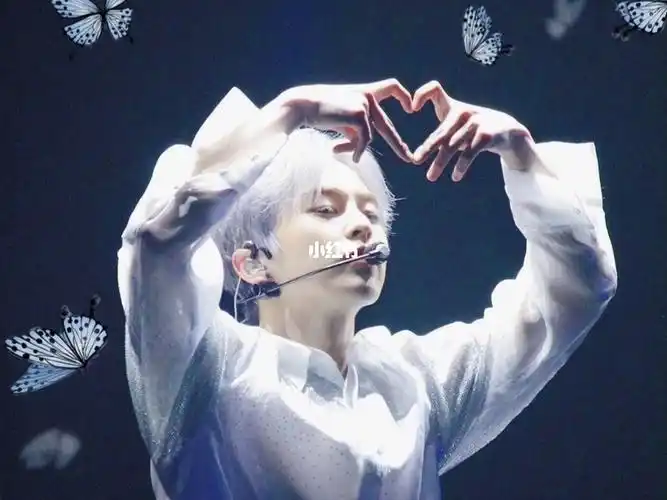 exo蝴蝶少女dontgo南韩妖精金珉锡