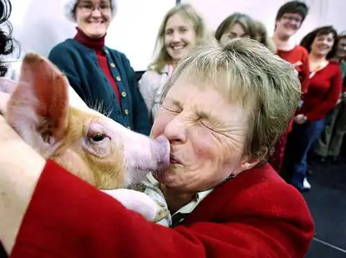 看加拿大老师如何为人师表[图]