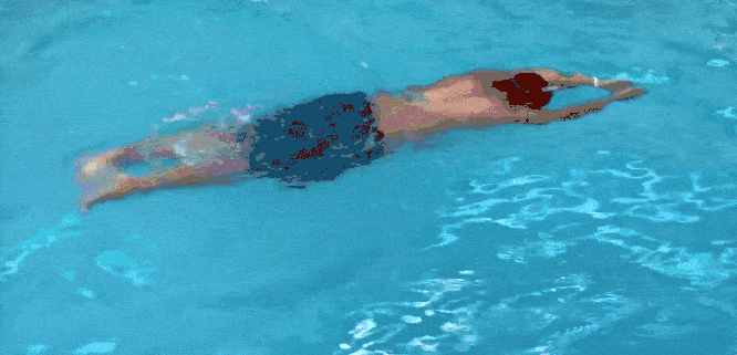 梦觉丨蝶泳五蝶泳单划手