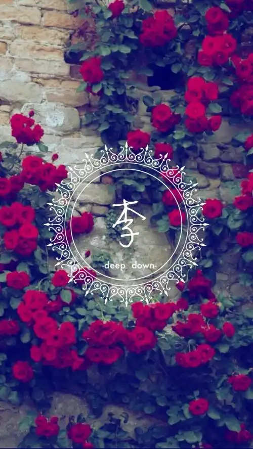 自创姓氏壁纸-deepdown-勿侵