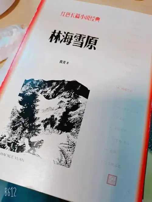 仅以此书献给林海雪原的战士们