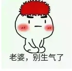 老婆生气表情包搞笑