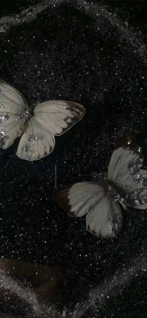 这组精致的锁屏壁纸太喜欢了!