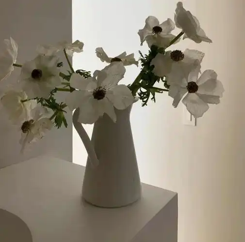 干净高级的微信封面图