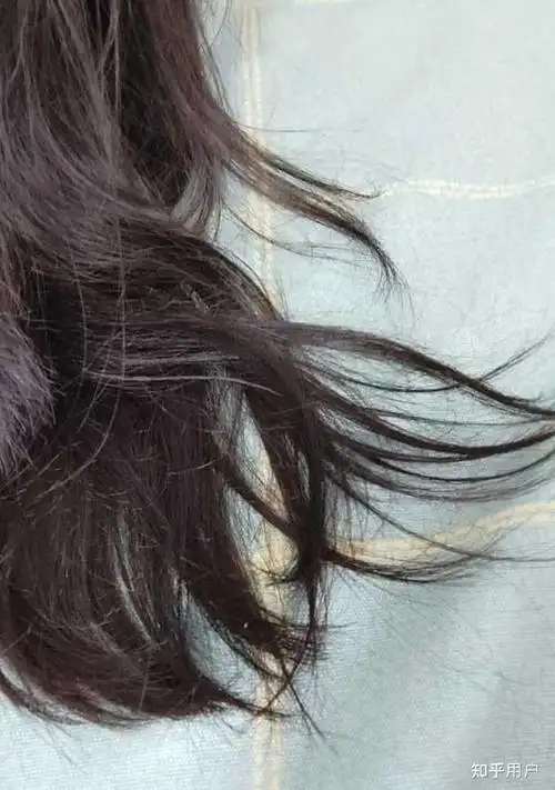 为什么干燥洁净的头发也会一缕一缕的