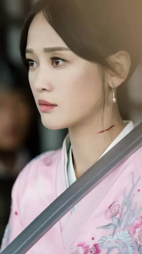 独孤皇后独孤伽罗陈乔恩饰