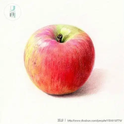 又画的相册-彩铅水果