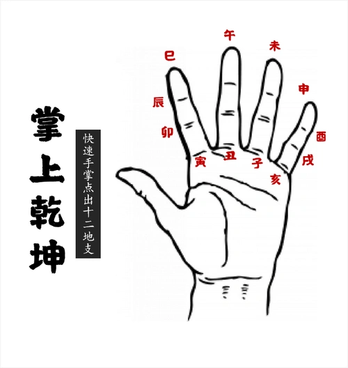 05 何为五行及十二地支 如何用手掌点卦3分钟学会掐指神算