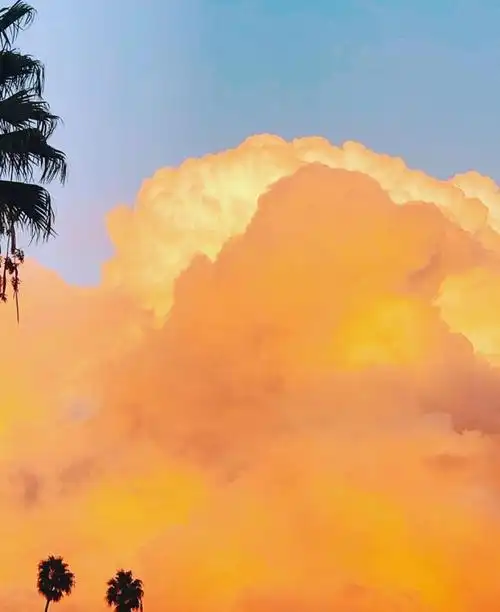 ins风橘色背景图67愿你好运