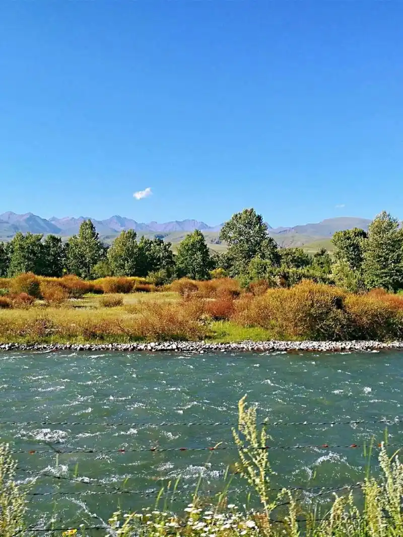 错过那拉提,就错过新疆一半的美 那拉提草原是世界四大亚高山草甸植物