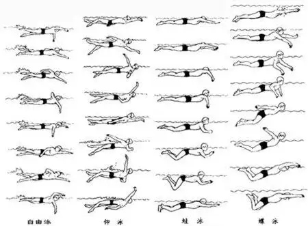 游泳图解