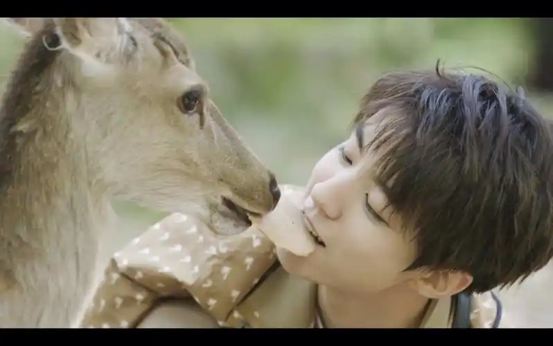 【王俊凯】瞬间混剪第一弹 少年向 日系少年凯凯 满屏溢出的少年感