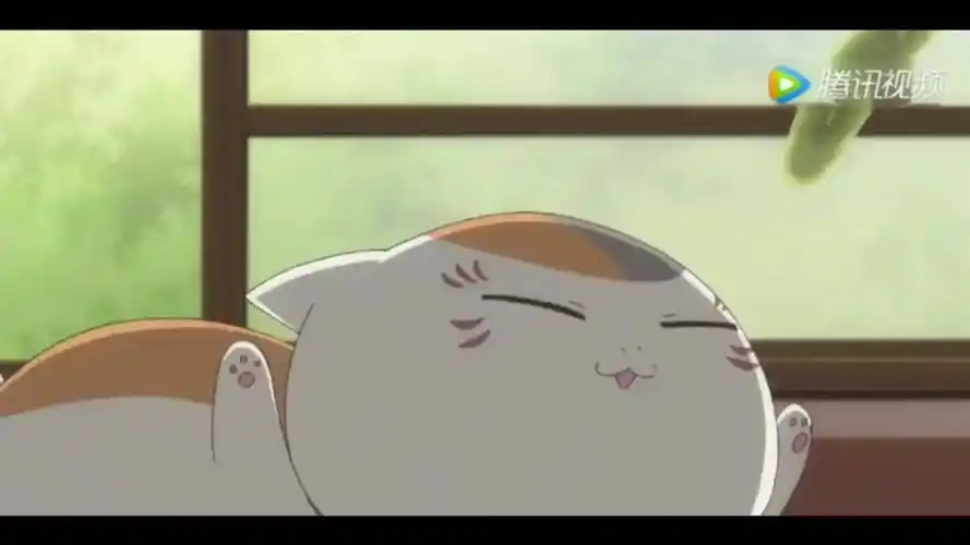 霸气与可爱并存的猫咪三三#夏目友人帐