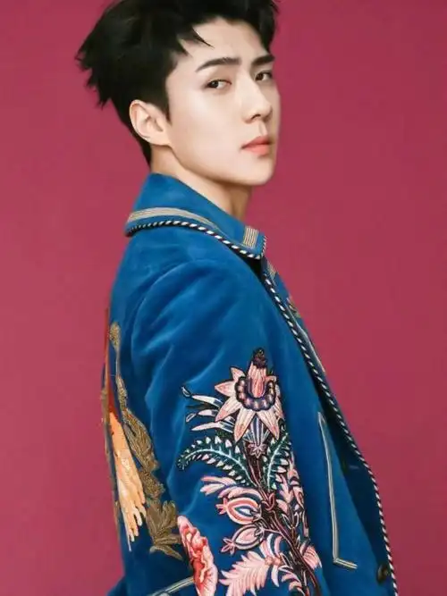 听说我家#世勋  发腮了然后就有人开始趁97打劫说我家勋勋不行了这