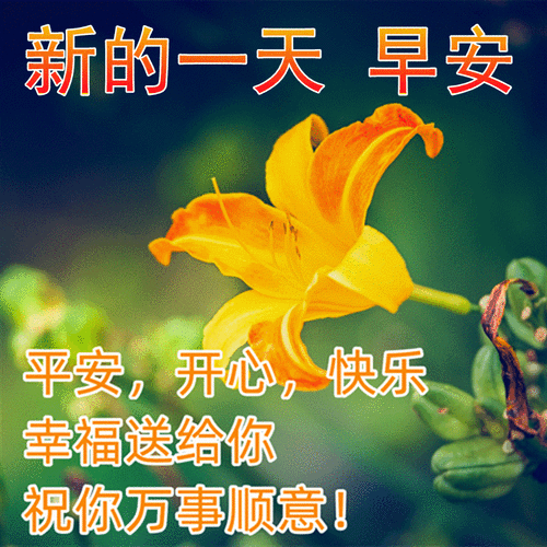 烟花照片加祝福语(春日喜气温馨的早安图片带字 暖心的早上好图片带
