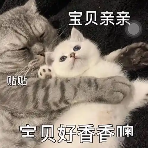 污污瑟瑟撩人色色表情包