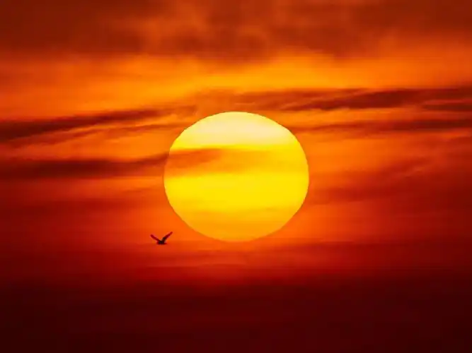 大美丽的日落太阳