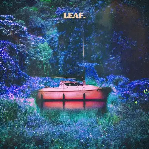 音乐专辑封面leaf
