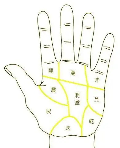 写写掌纹掌中八卦