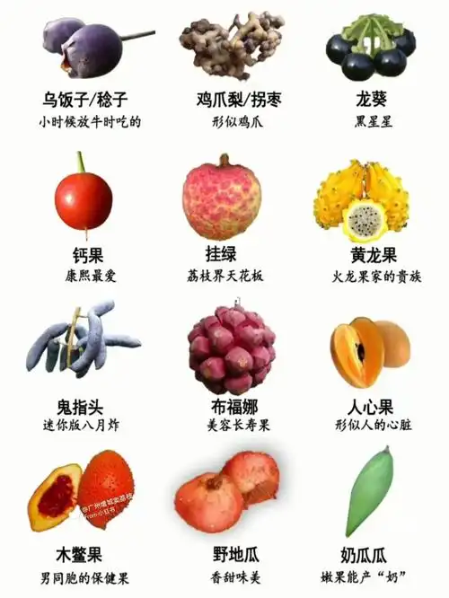 世界上最罕见的水果!太少了一种也没吃过!