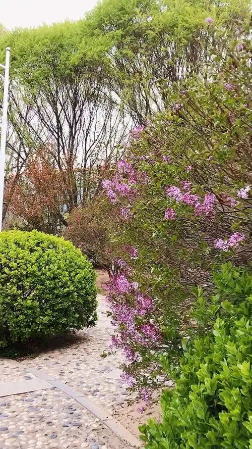 最美的风景在春天