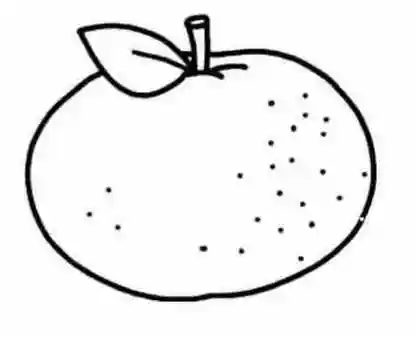 橘子果皮简笔画