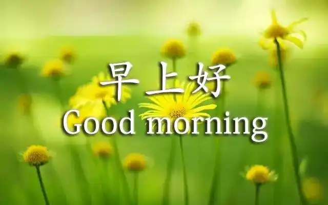 早上好图片大全 最美 漂亮 新版2021 - 早安心语- 不二励志语录