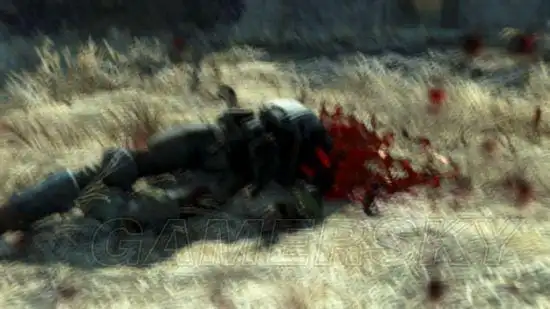 脑浆迸裂而死-游民星空 gamersky.com