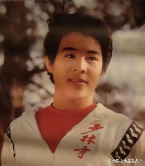 他更多是感激对方小时候对自己的帮助,也正是这份感激,才想让李连杰去