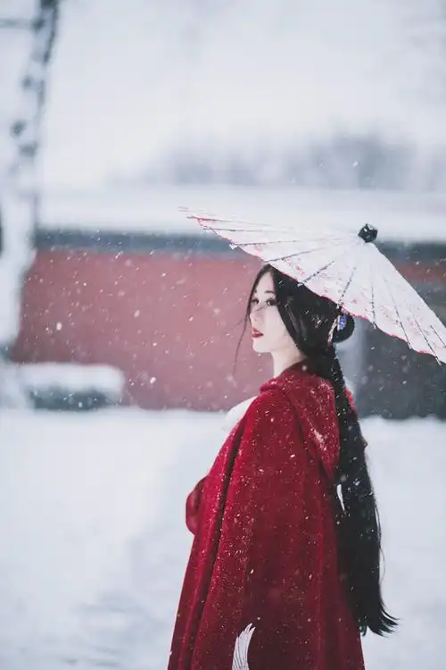 红墙白雪遥相寄