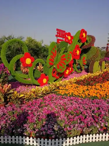 国庆中秋双节同庆花展20.10.