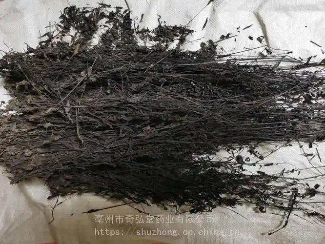 黑草功效/黑草用效果好