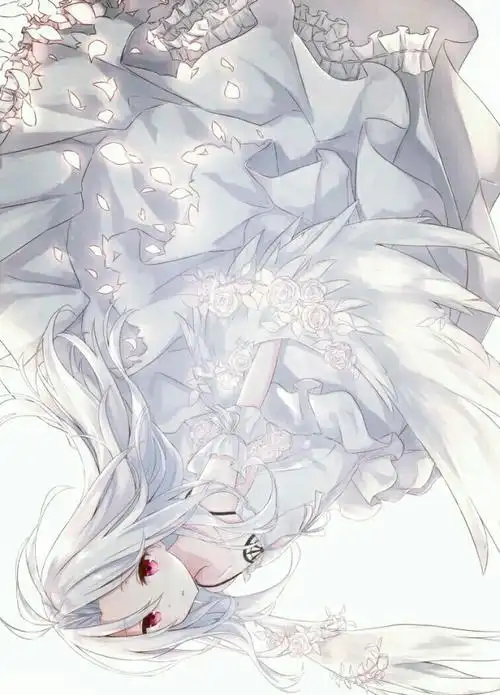 唯美的动漫图片集