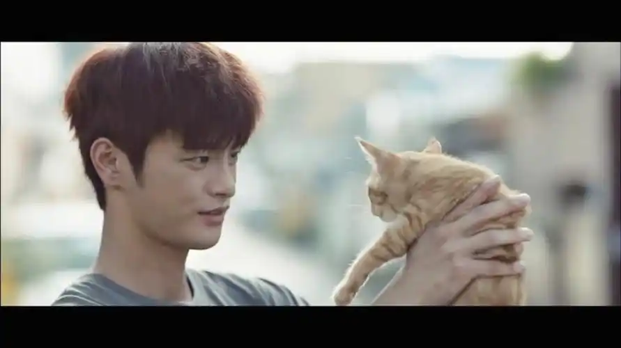 徐仁国我真的是太迷这个男人了