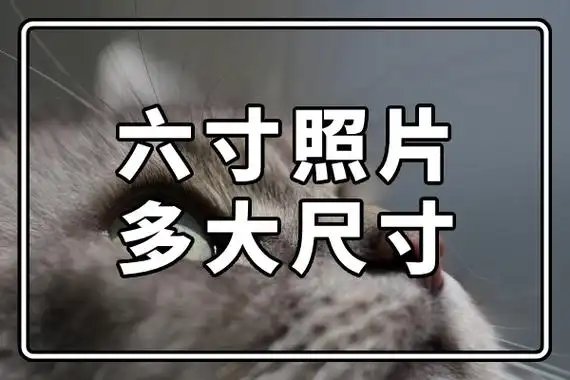 六寸照片多大尺寸?6寸照片比例大小介绍