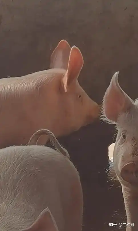 你看过哪些让人笑喷的搞笑图片八