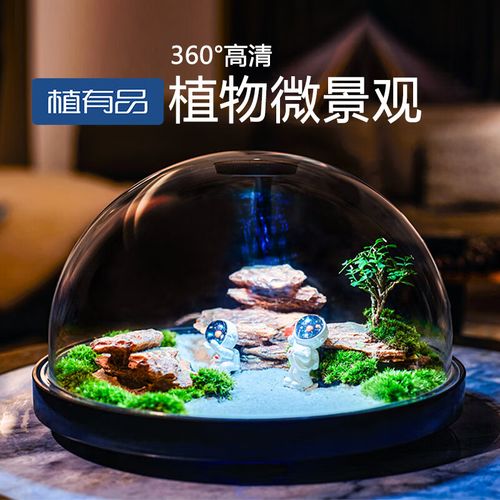 潮鸣(chaoming)桌面生态水景微景观生态缸小鱼缸水景造景懒人桌面摆件