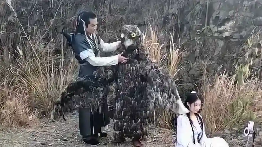 原来神雕侠侣里面的雕是这样的经过特效师的加工确实美化了好多