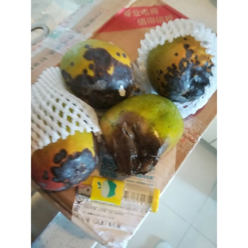 > 攀枝花 吉禄芒果8斤装 包邮 产地直发 新鲜上市商品评价 > 坏了四个