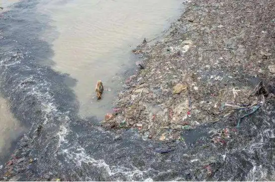 世界上最肮脏污浊的河你以为是印度恒河错是这里