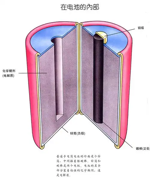 干电池内部构造图
