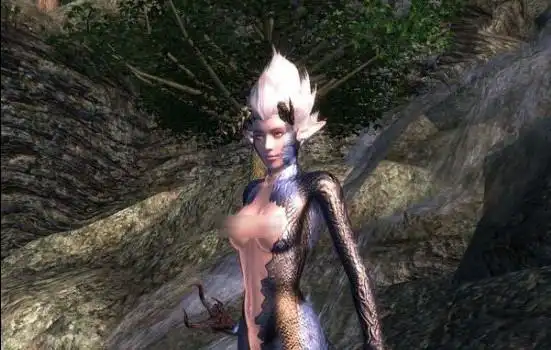 实在太低俗上古卷轴5天际曝裸衣补丁