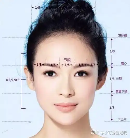 鹅蛋脸很符合三庭五眼的标准,也趋近黄金分割比例,刘亦菲无疑是鹅蛋脸