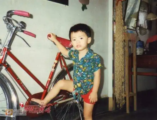 陈赫童年照
