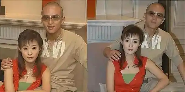 郝蕾与刘烨离婚后自己一人养育双胞胎儿子如今怎么样了