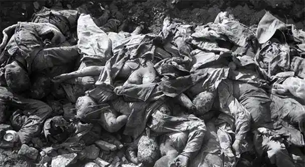 原创看着上甘岭遍地敌尸8连4班提出了一个大胆想法最终全员生还