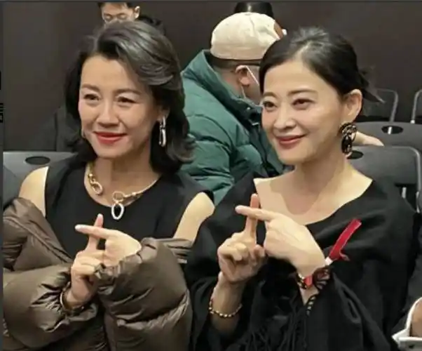 被名导"白嫖"三年后离开,39岁高龄生子,现在是中生代演员榜样_刘琳