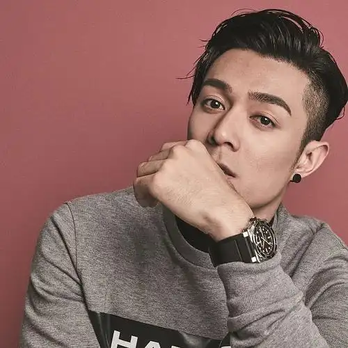 中文名  周柏豪 外文名  pakho,chau pak ho 职业    歌手,演员,模特