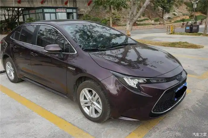 星云紫,我觉得叫幸运紫,为啥,因为这个时期购买雷凌,实际省了少钱,挺