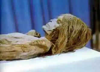 哈利推荐的周末娱乐活动:参观一下古代干尸吧!养养眼.